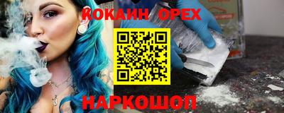крисы Новозыбков