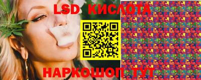 крисы Новозыбков