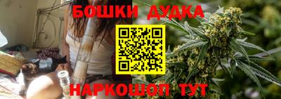 гидра Новодвинск