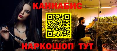 крисы Новозыбков