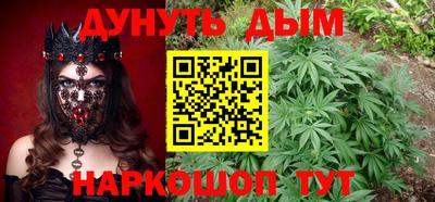 крисы Новозыбков