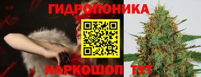 гидра Новодвинск