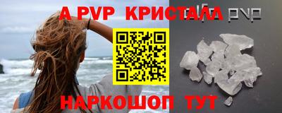 крисы Новозыбков