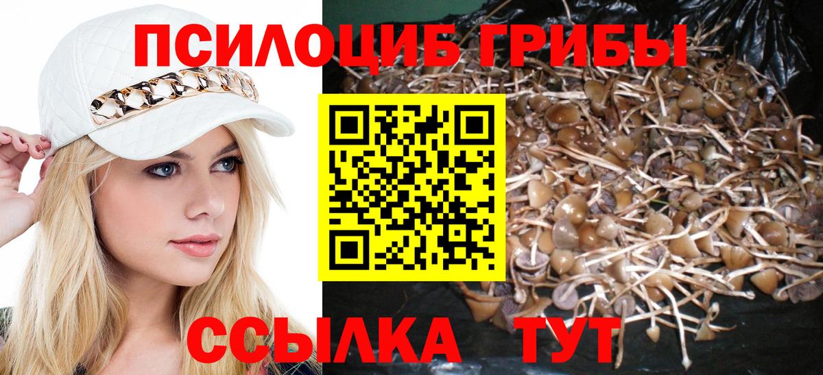 Туймазы  Галлюциногенные грибы Psilocybe  Галлюциногенные грибы ЛСД  Вход с VPN 