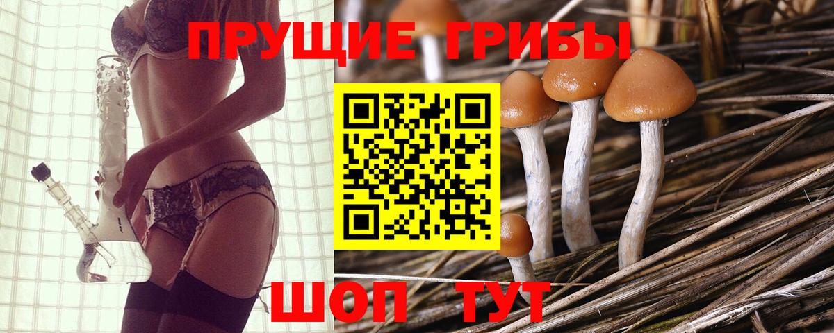 Псилоцибиновые грибы Magic Shrooms Туймазы